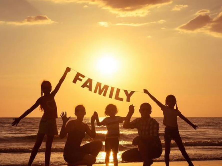 Family Lawyer in Patiala House Court