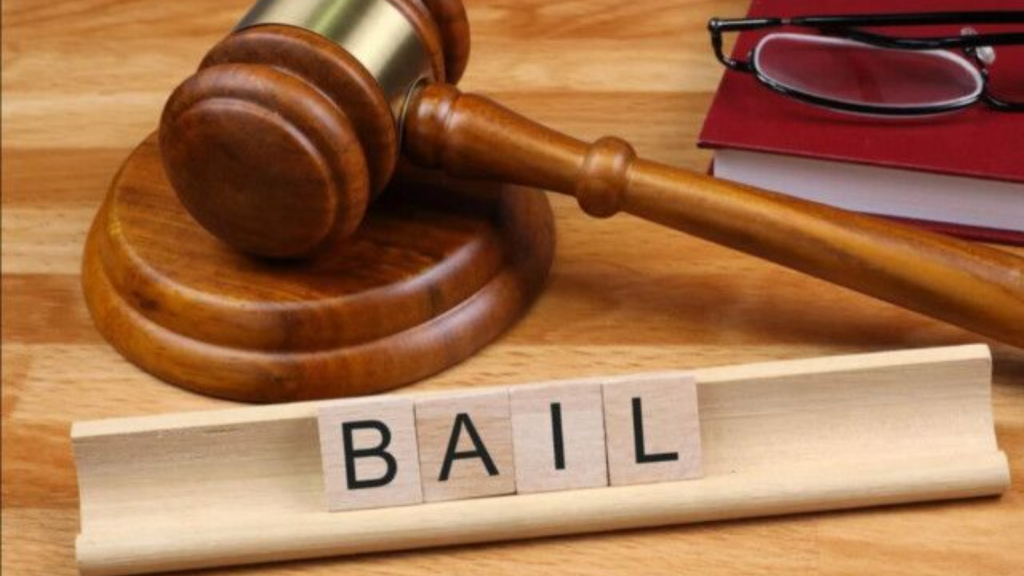 bail lawyer in patiala house court