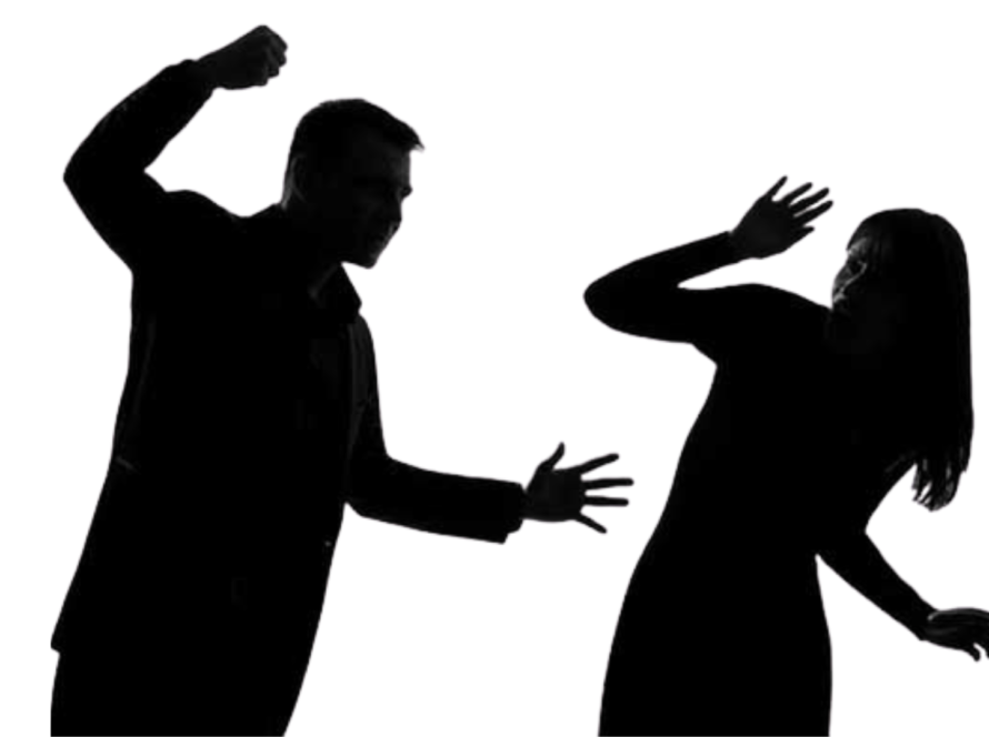 domestic violence lawyer in patiala house court